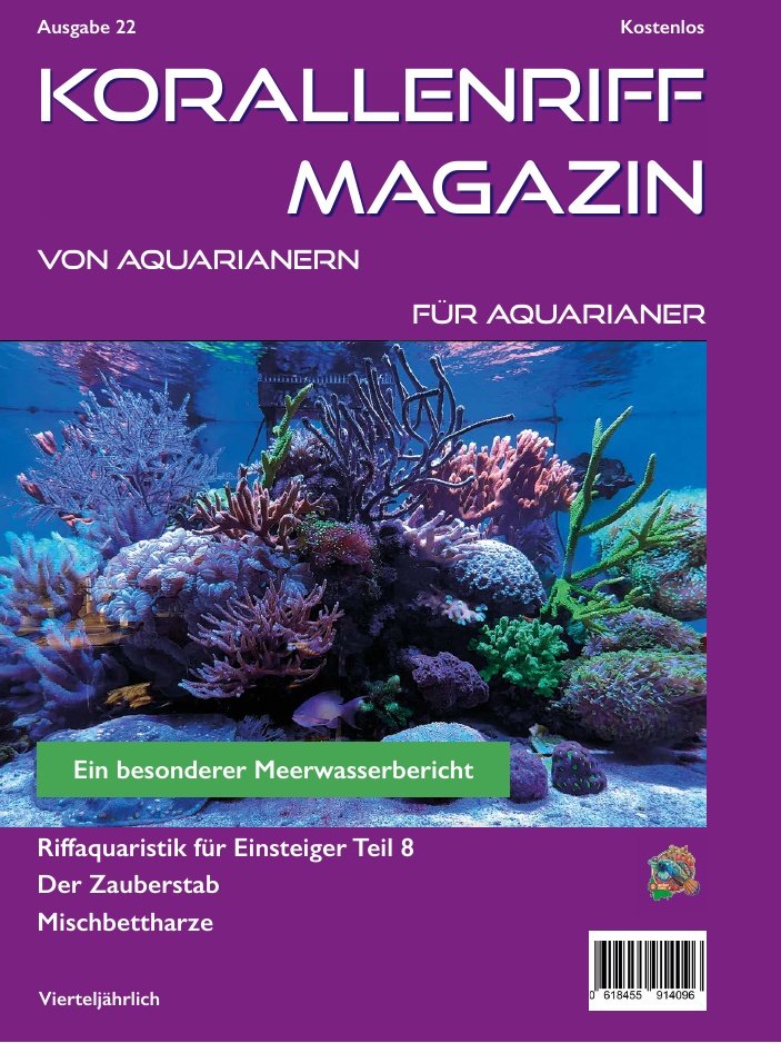 Ausgabe 22