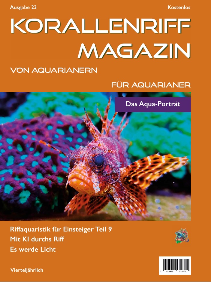 Ausgabe 23