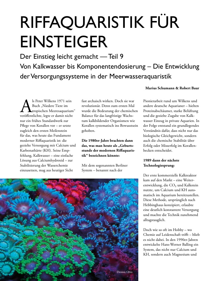 Vorschaubild Seite 6