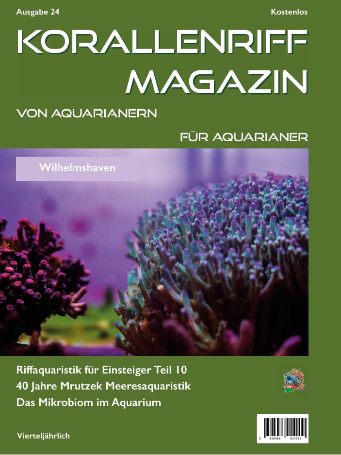 Ausgabe 24