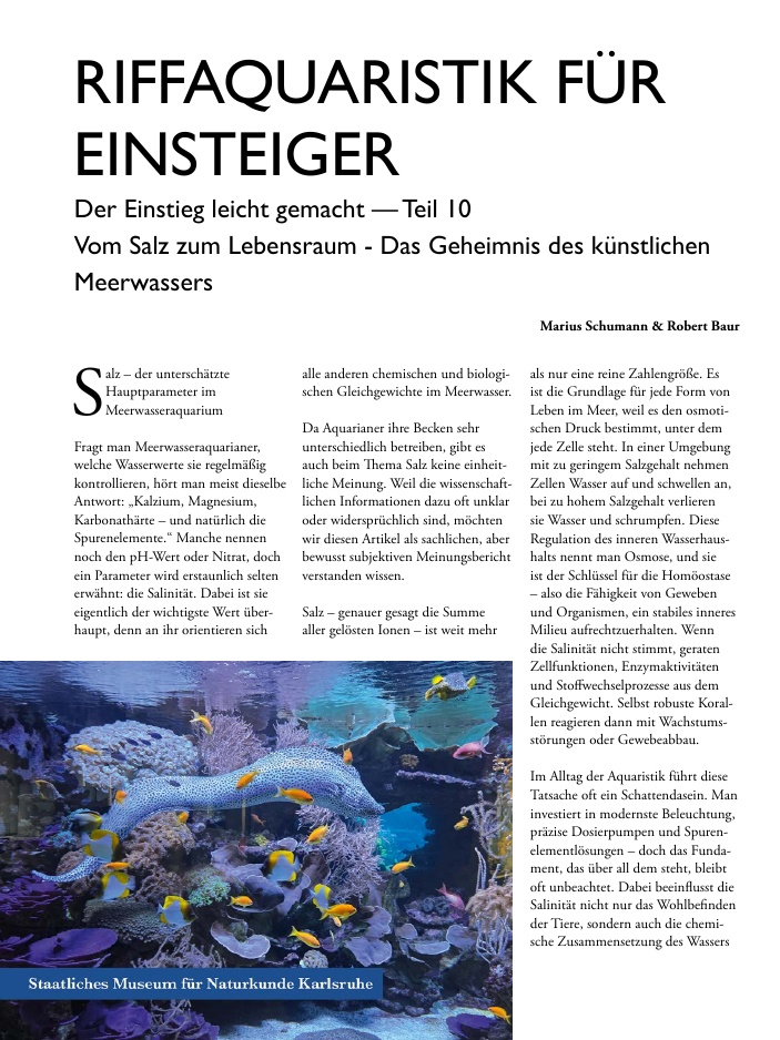 Vorschaubild Seite 16