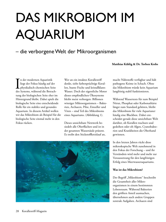 Vorschaubild Seite 28