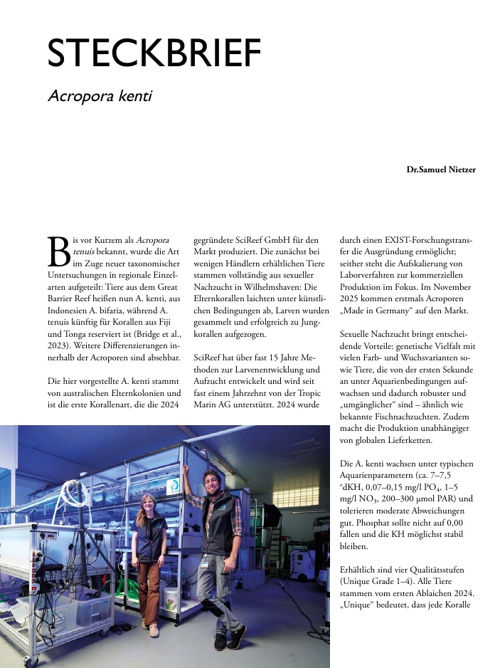 Vorschaubild Seite 40