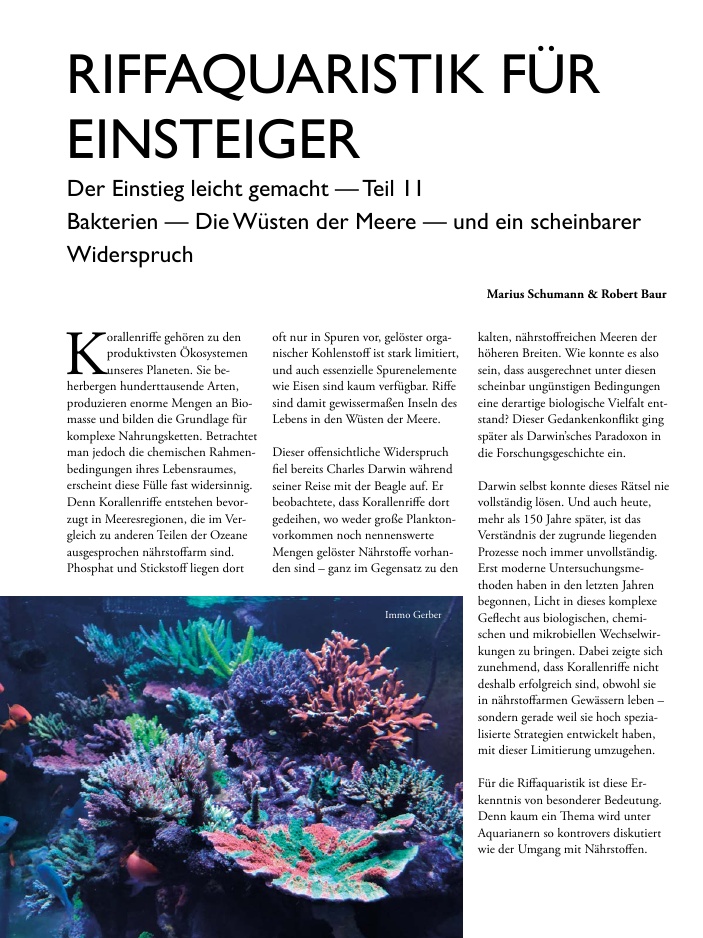 Vorschaubild Seite 14
