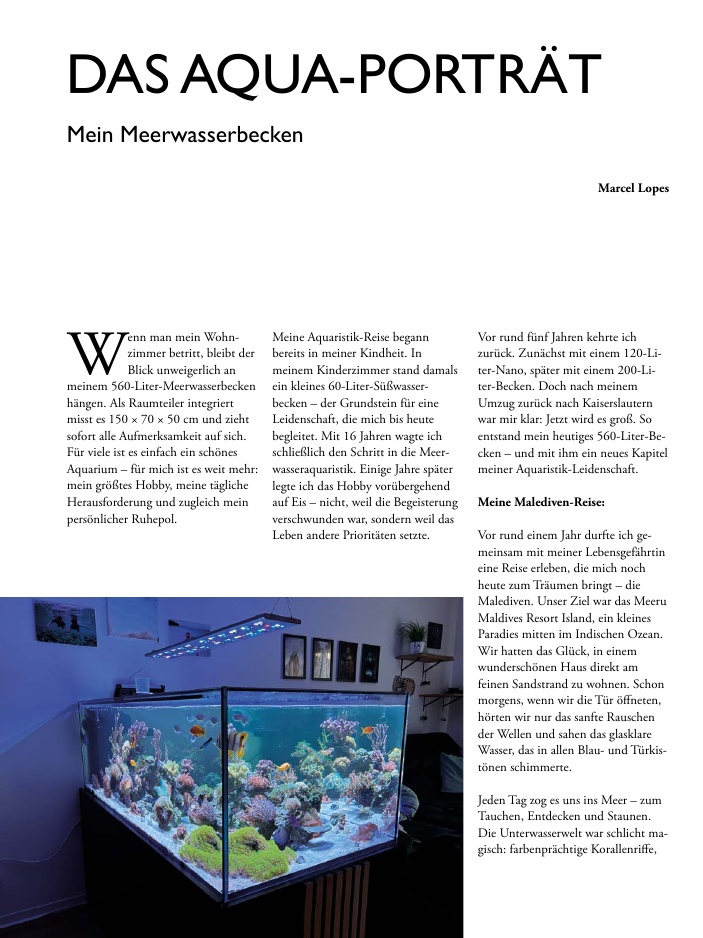 Vorschaubild Seite 32