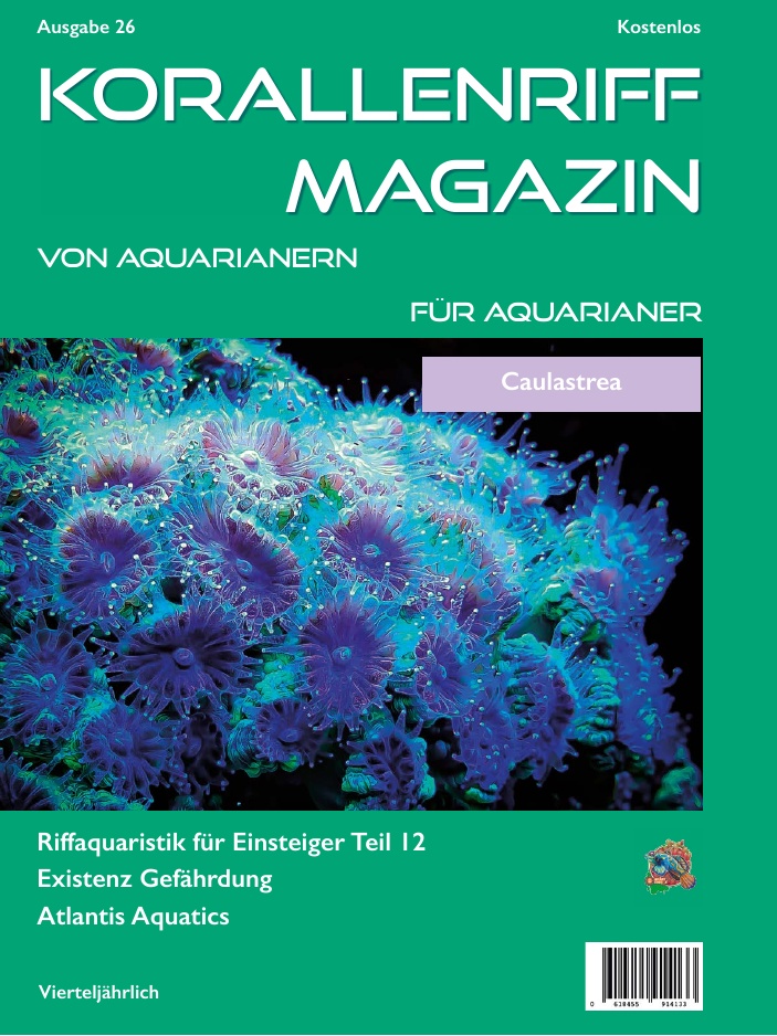 Ausgabe 26