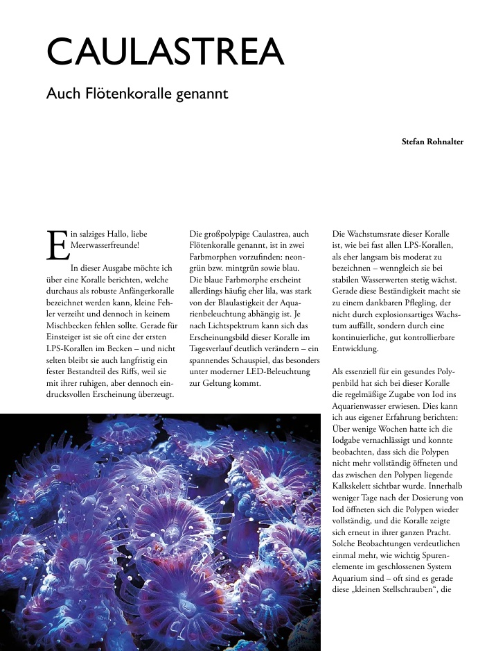 Vorschaubild Seite 6