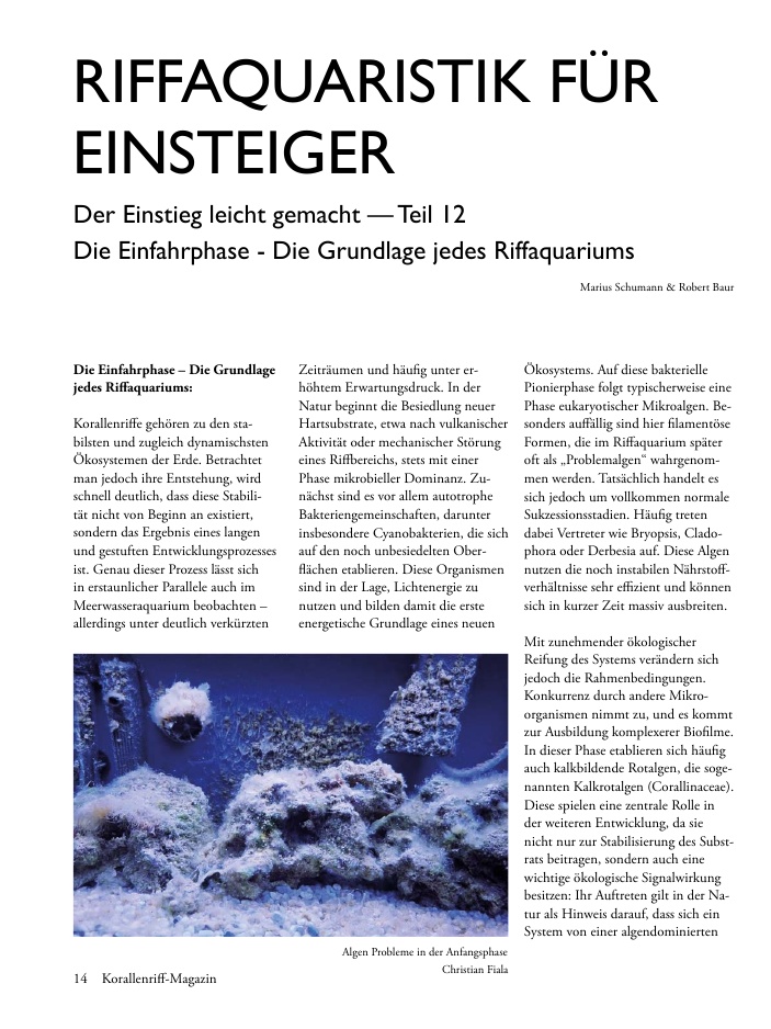 Vorschaubild Seite 14