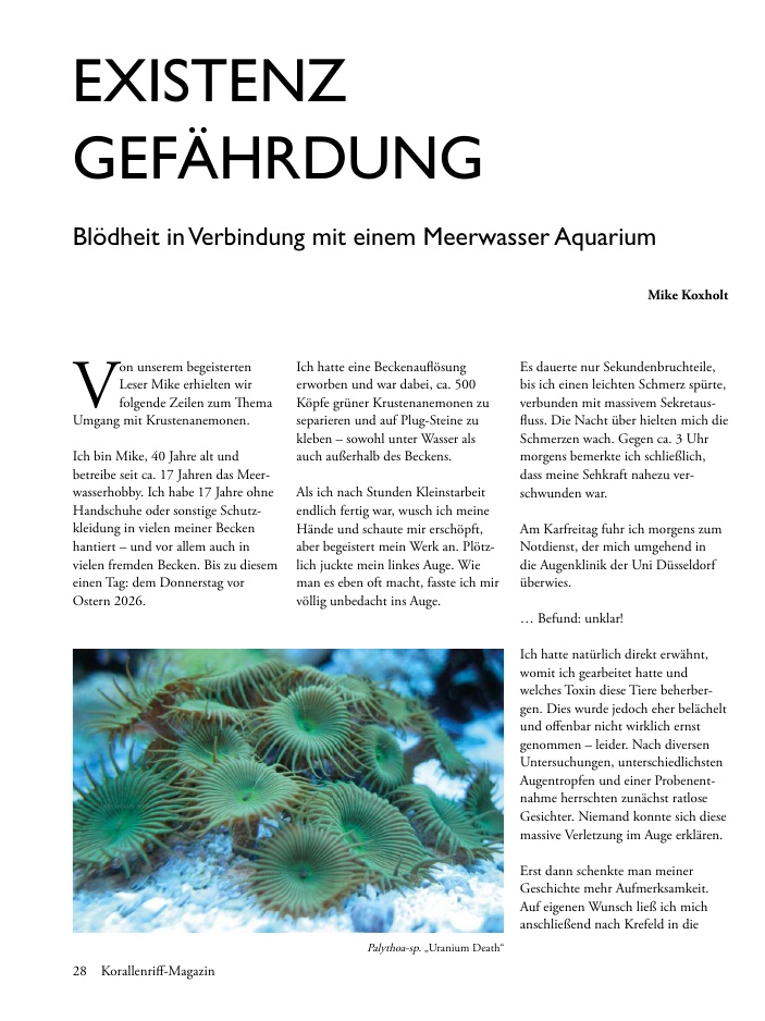 Vorschaubild Seite 28