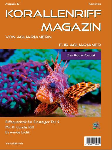 Vorschaubild Ausgabe 23