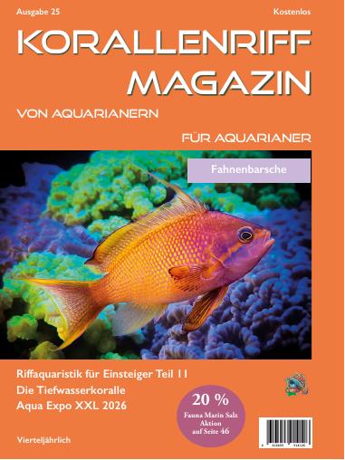 Vorschaubild Ausgabe 25